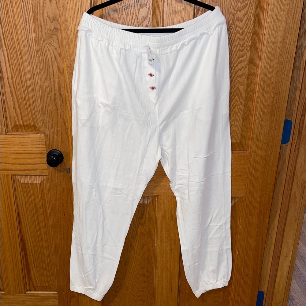 Free people Pants